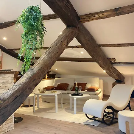 Apartment Loft Unique Romantique & Balneotherapie
