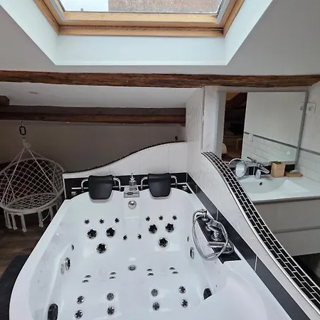 Loft Unique Romantique & Balneotherapie * Riom
