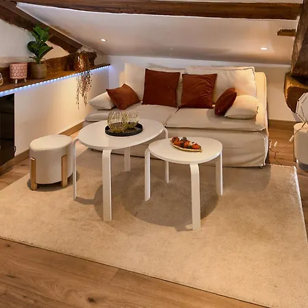 Loft Unique Romantique & Balneotherapie Apartment