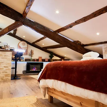 Loft Unique Romantique & Balneotherapie * Riom
